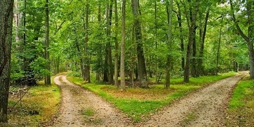 camins separats